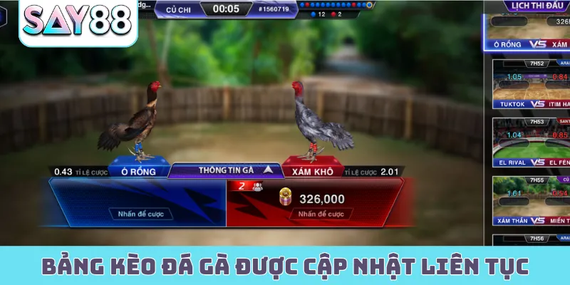 Bảng kèo đá gà được cập nhật liên tục