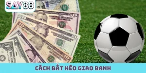 Cách Bắt Kèo Giao Banh