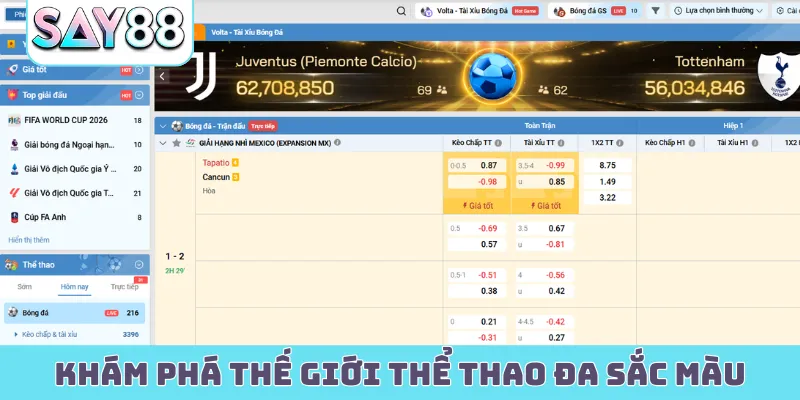 Khám phá thế giới thể thao đa sắc màu mỗi ngày