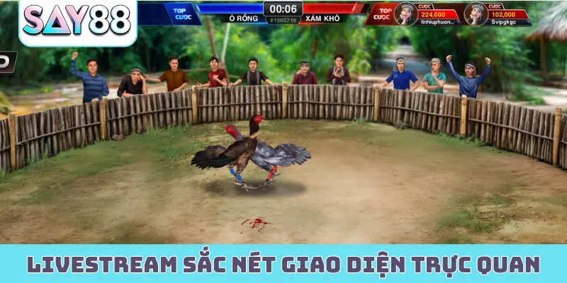 Livestream sắc nét cùng giao diện trực quan