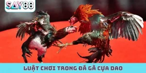 luật chơi trong đá gà cựa dao