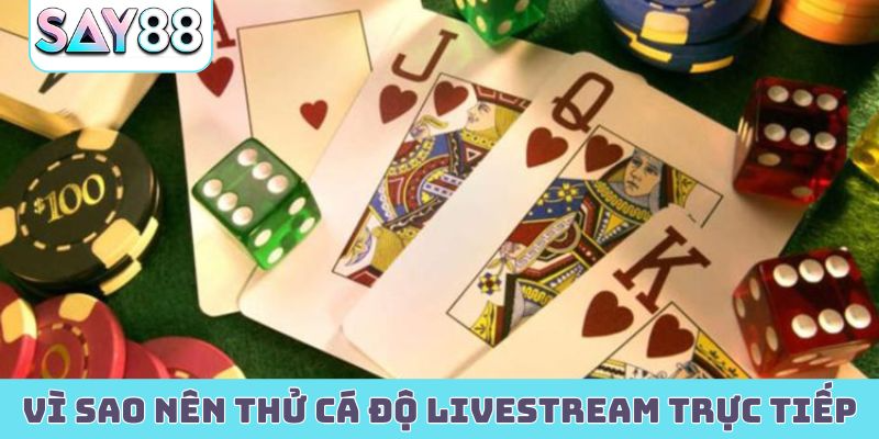 Vì sao nên thử cá độ livestream trực tiếp